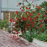 Okuka Apartman *