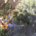 Okuka Apartman *