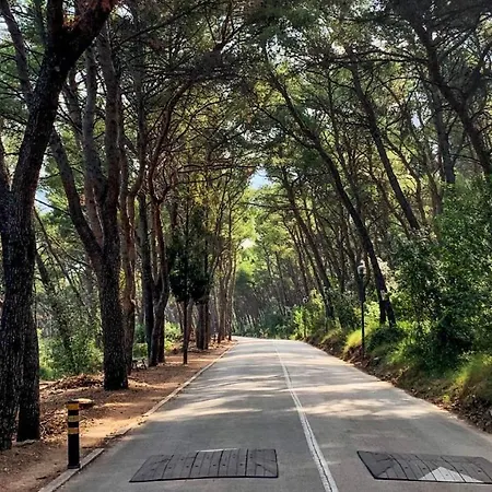 Okuka דירה ספליט